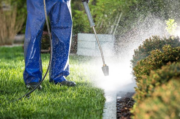 Curb Cleaning in Sparks