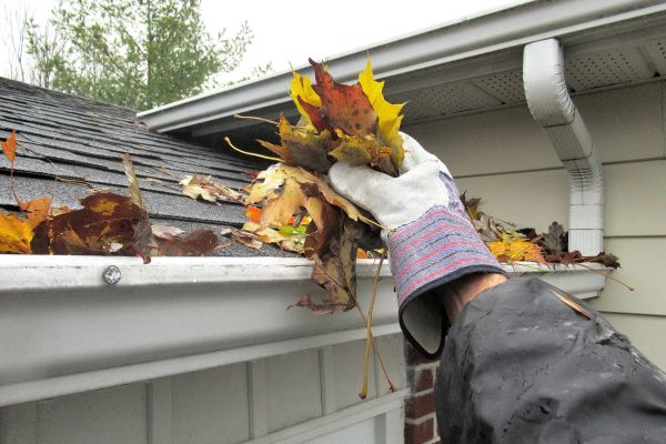 Eaves Cleaning in Sparks