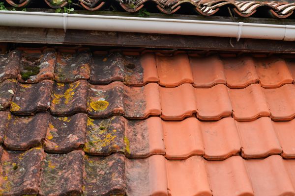 Industrial Roof Cleaning in Sparks