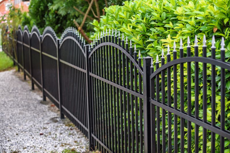 Wrought Iron Fence Cleaning